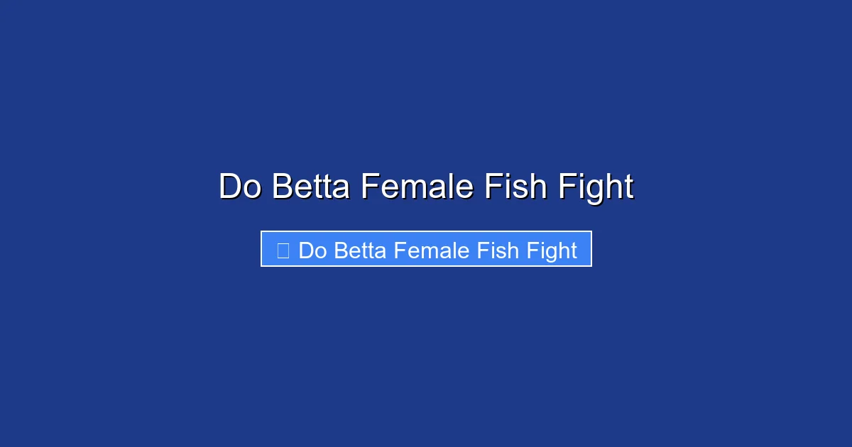 Do Betta Female Fish Fight