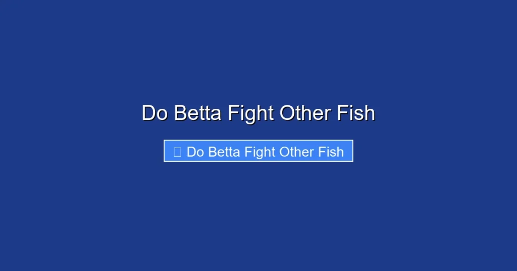 Do Betta Fight Other Fish