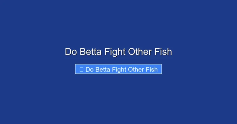 Do Betta Fight Other Fish