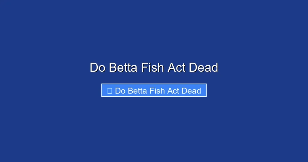 Do Betta Fish Act Dead
