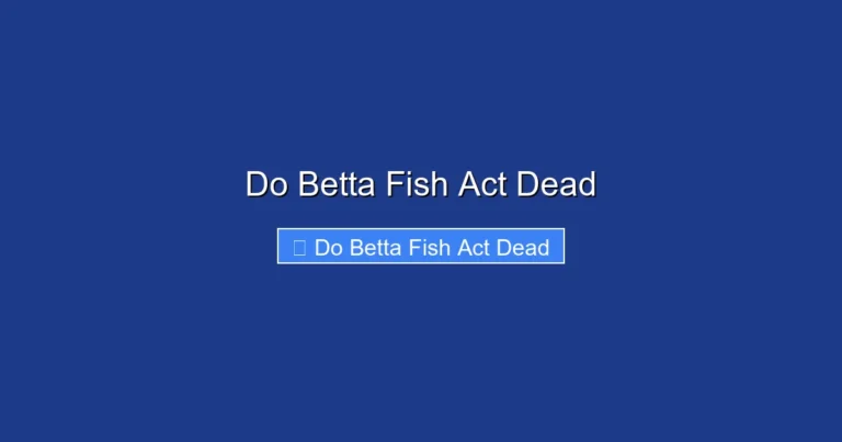 Do Betta Fish Act Dead