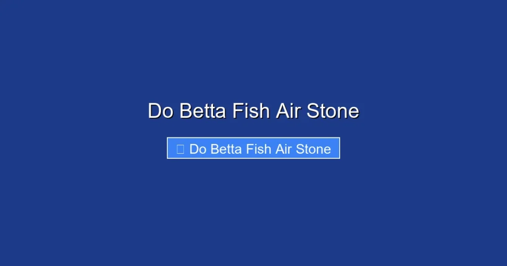 Do Betta Fish Air Stone