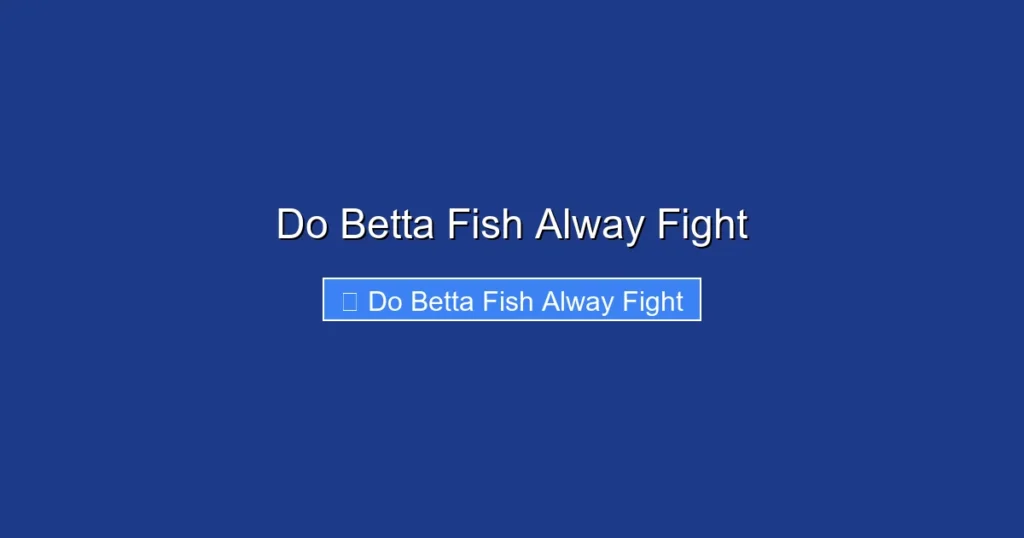 Do Betta Fish Alway Fight