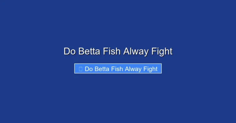 Do Betta Fish Alway Fight