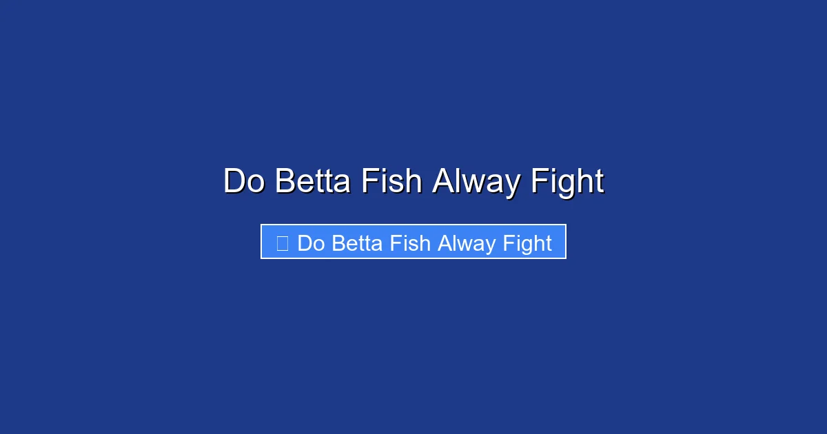 Do Betta Fish Alway Fight