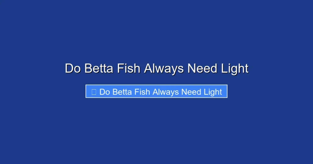 Do Betta Fish Always Need Light