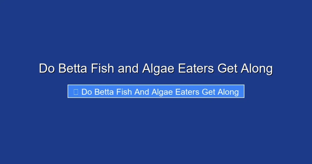 Do Betta Fish and Algae Eaters Get Along