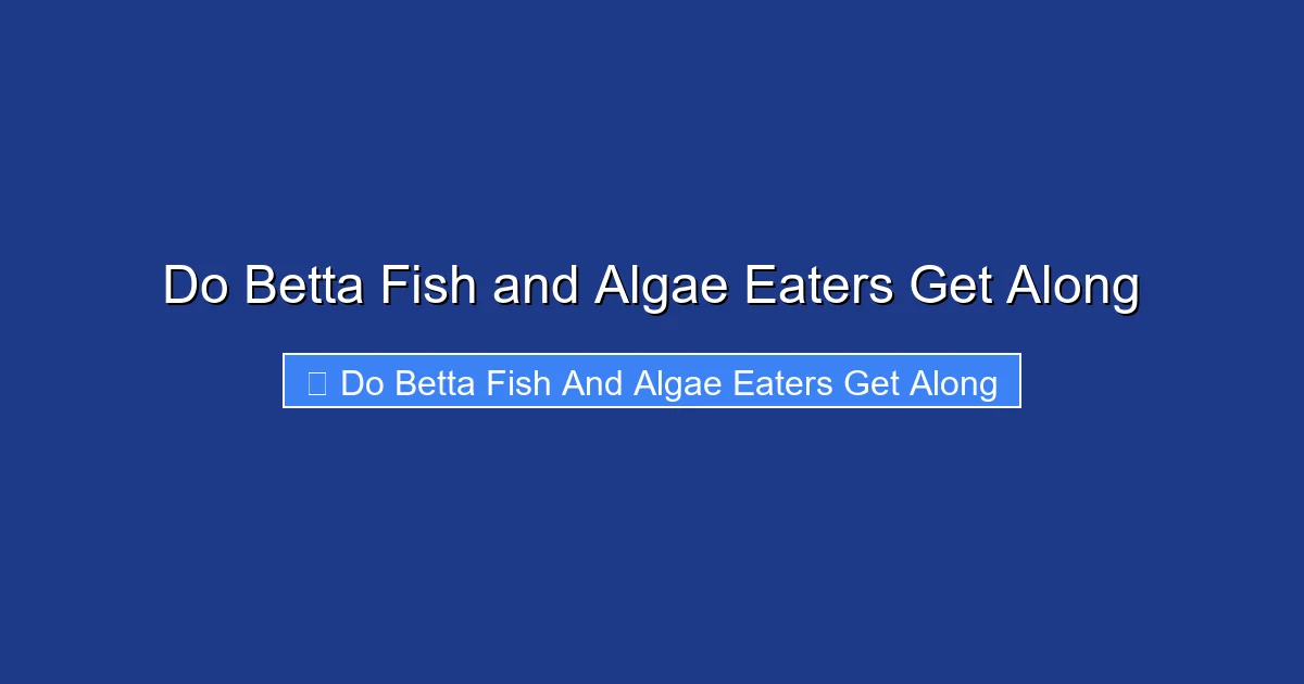 Do Betta Fish and Algae Eaters Get Along