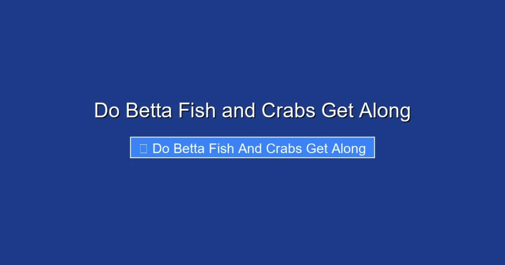 Do Betta Fish and Crabs Get Along