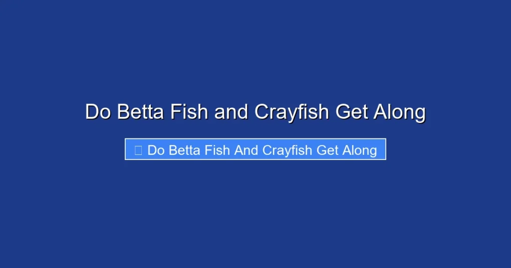 Do Betta Fish and Crayfish Get Along