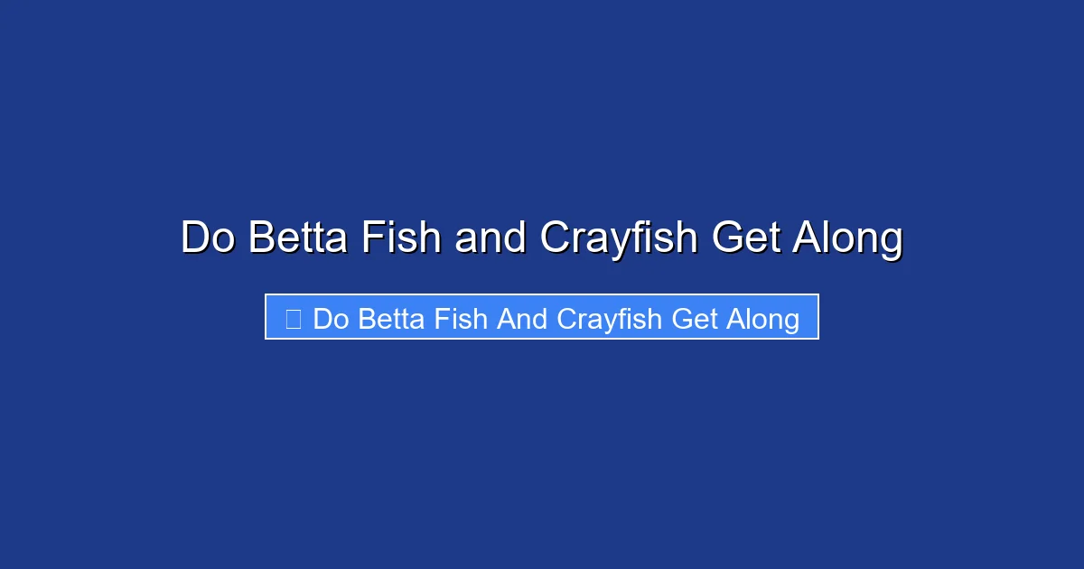 Do Betta Fish and Crayfish Get Along