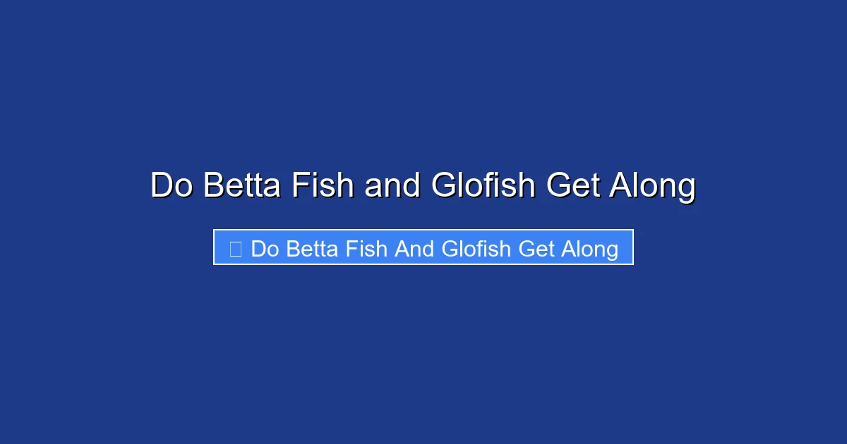 Do Betta Fish and Glofish Get Along
