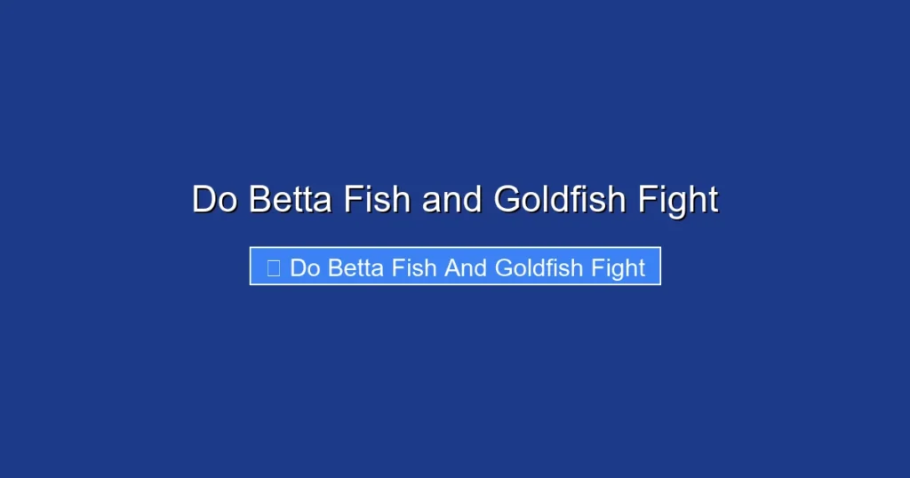 Do Betta Fish and Goldfish Fight