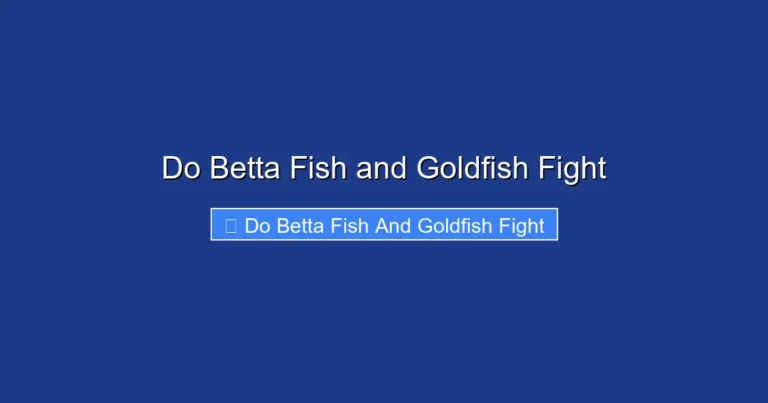 Do Betta Fish and Goldfish Fight