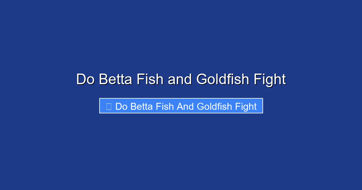 Do Betta Fish and Goldfish Fight