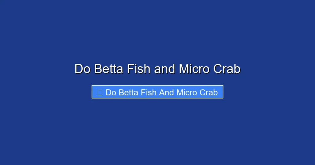 Do Betta Fish and Micro Crab