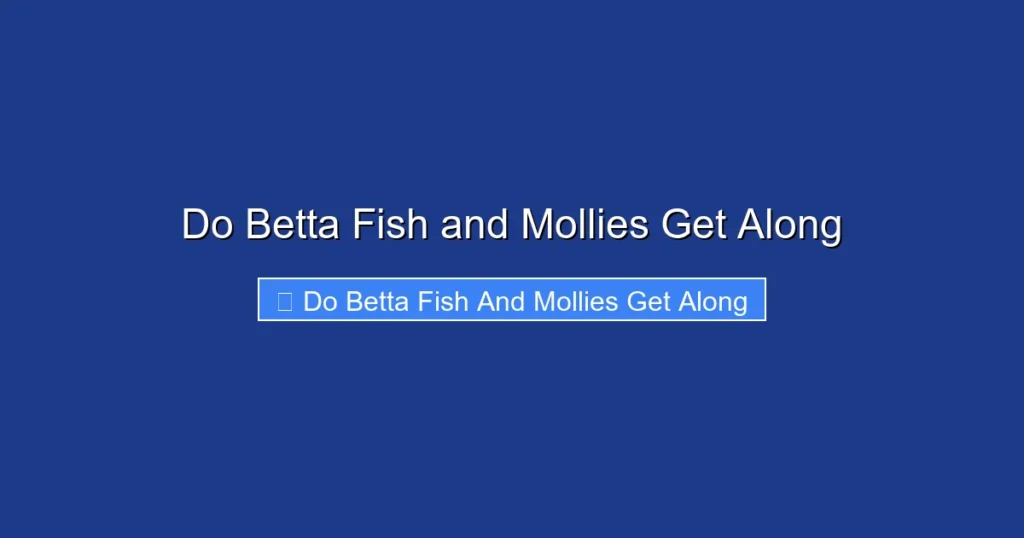Do Betta Fish and Mollies Get Along