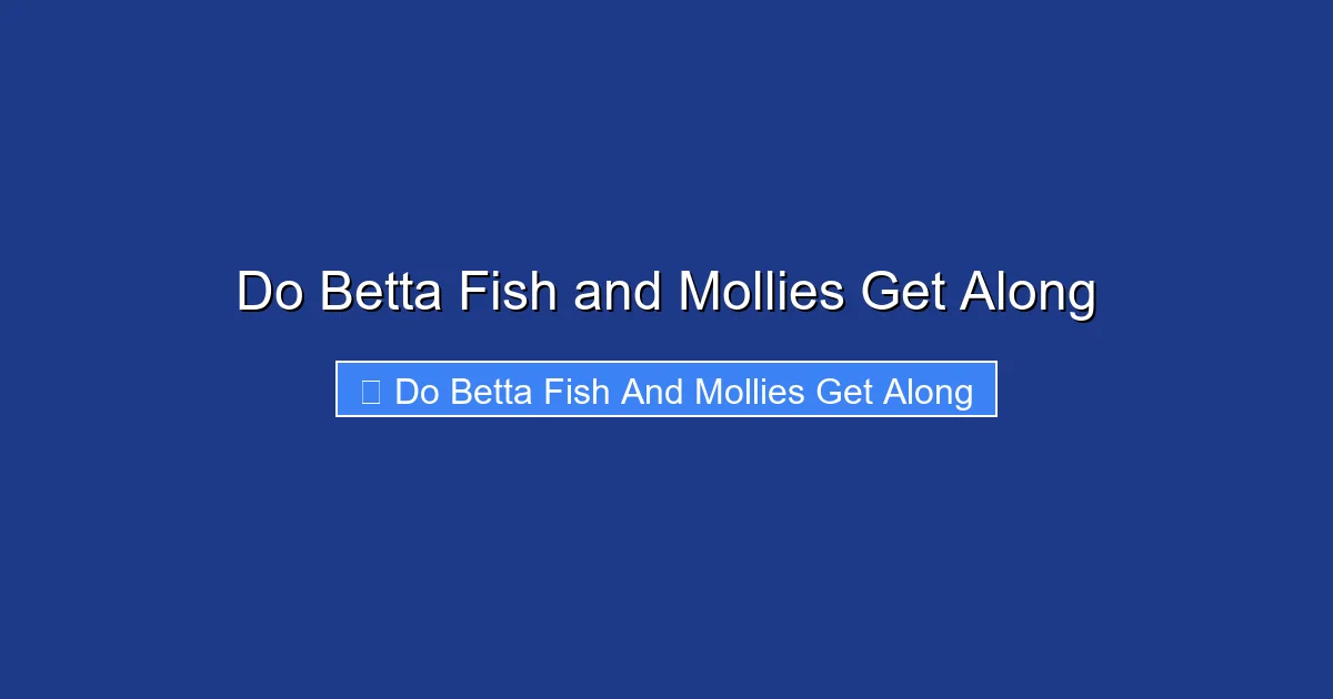 Do Betta Fish and Mollies Get Along
