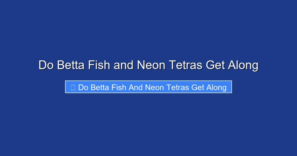 Do Betta Fish and Neon Tetras Get Along