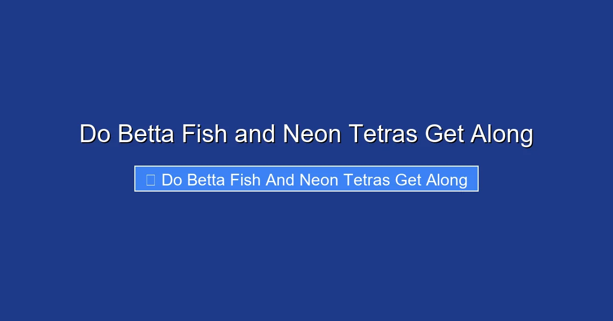 Do Betta Fish and Neon Tetras Get Along