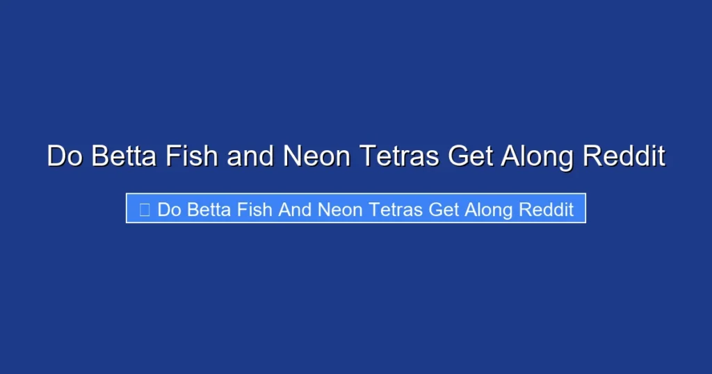 Do Betta Fish and Neon Tetras Get Along Reddit