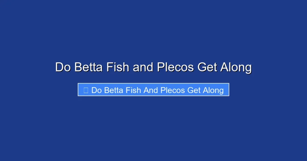 Do Betta Fish and Plecos Get Along