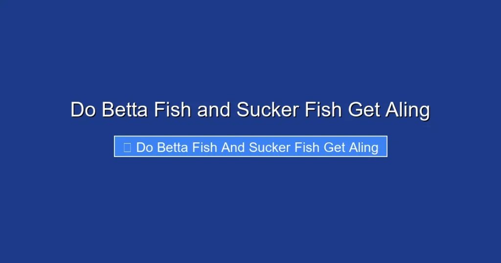 Do Betta Fish and Sucker Fish Get Aling