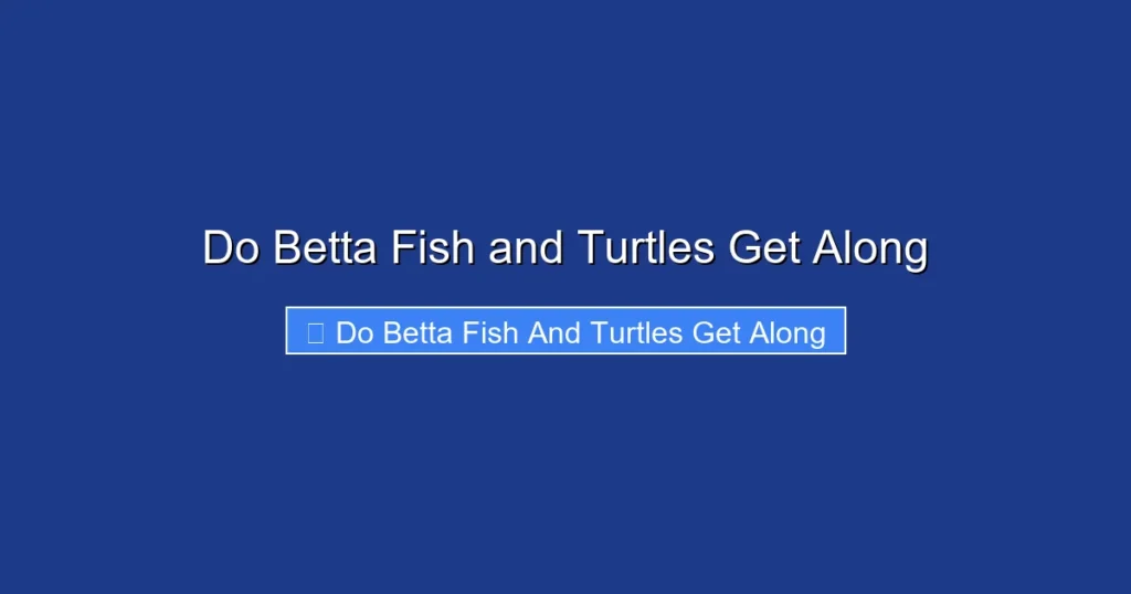 Do Betta Fish and Turtles Get Along