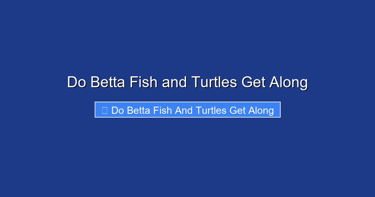 Do Betta Fish and Turtles Get Along