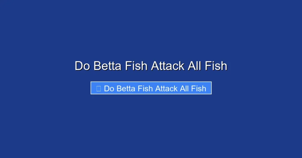 Do Betta Fish Attack All Fish