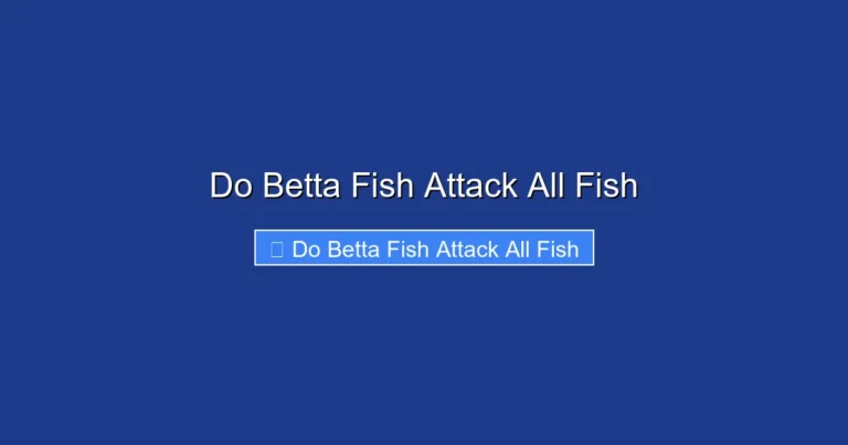 Do Betta Fish Attack All Fish