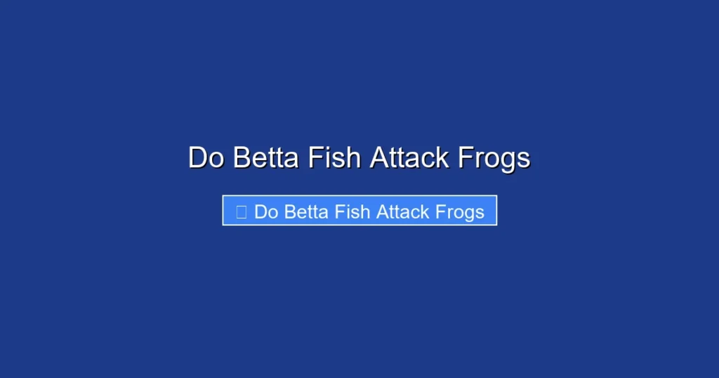 Do Betta Fish Attack Frogs