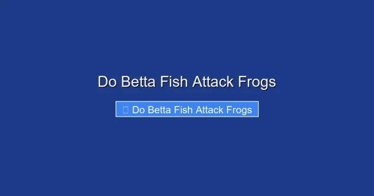 Do Betta Fish Attack Frogs