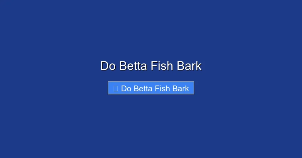 Do Betta Fish Bark