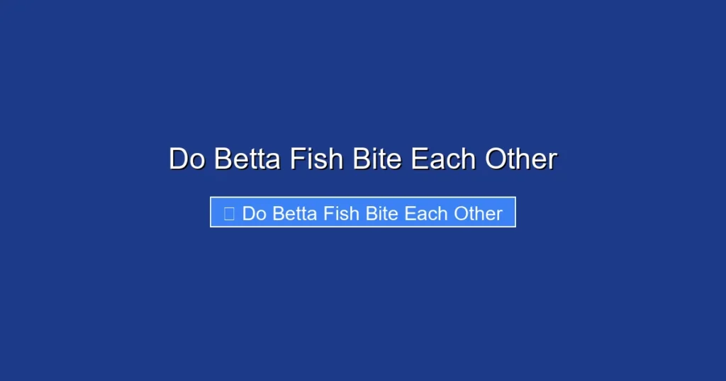 Do Betta Fish Bite Each Other