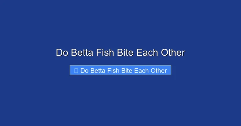 Do Betta Fish Bite Each Other