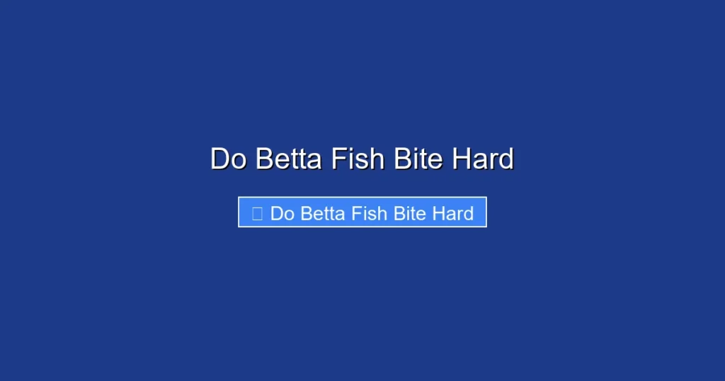 Do Betta Fish Bite Hard