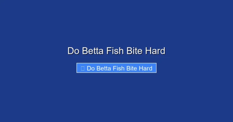 Do Betta Fish Bite Hard