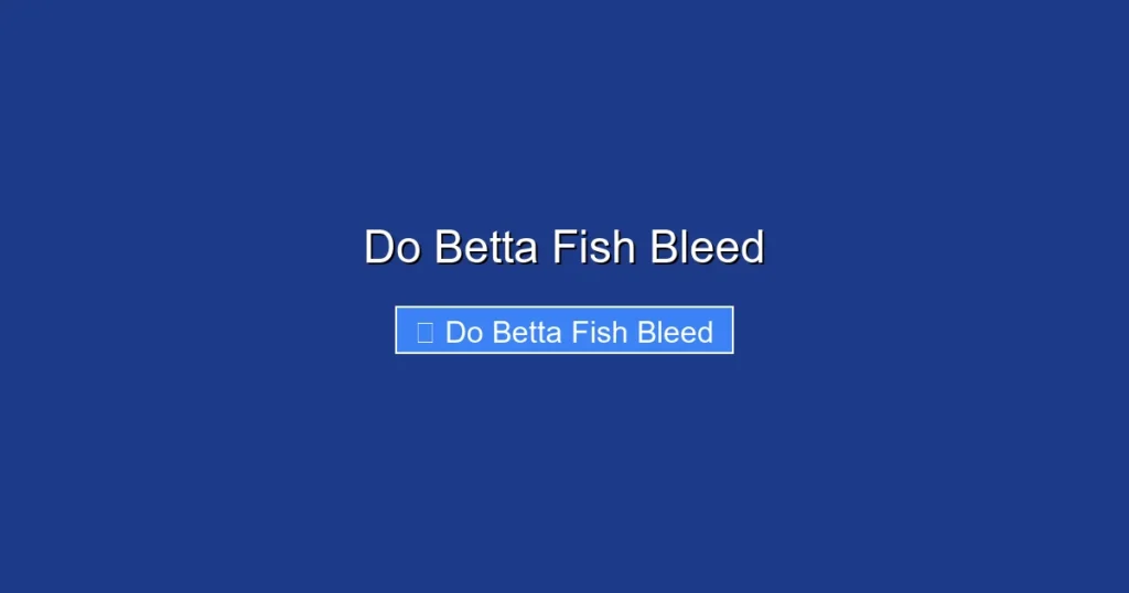 Do Betta Fish Bleed