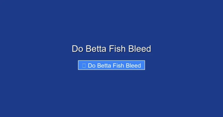 Do Betta Fish Bleed