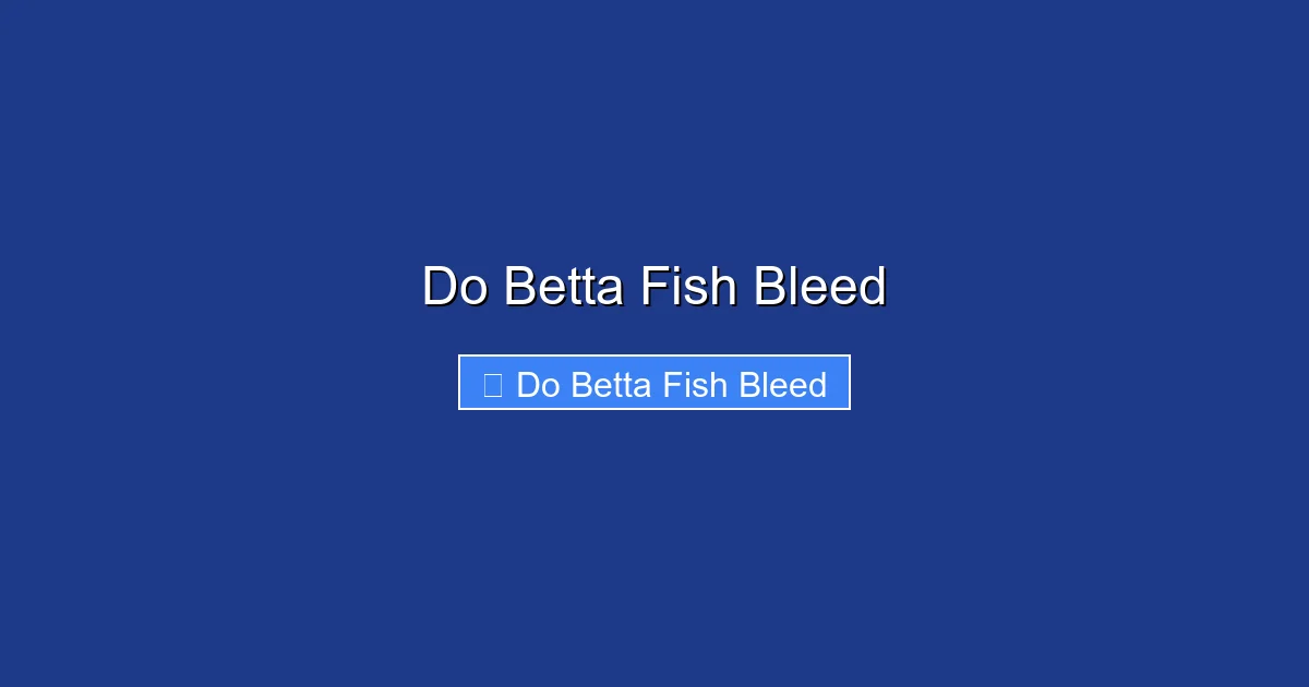 Do Betta Fish Bleed
