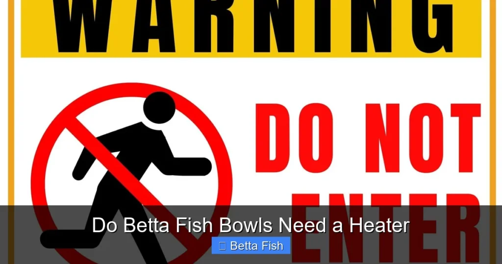 Do Betta Fish Bowls Need a Heater