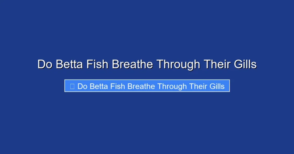 Do Betta Fish Breathe Through Their Gills