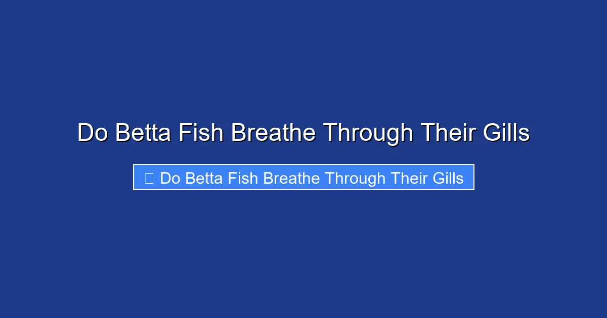 Do Betta Fish Breathe Through Their Gills