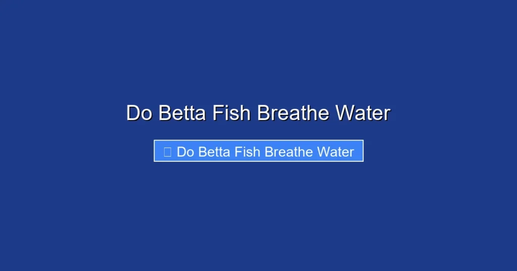 Do Betta Fish Breathe Water