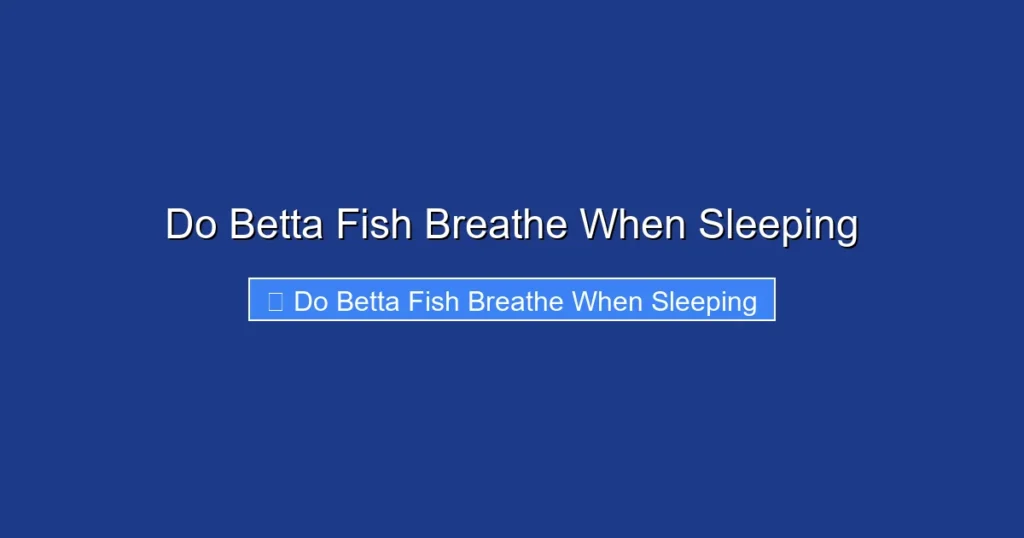 Do Betta Fish Breathe When Sleeping