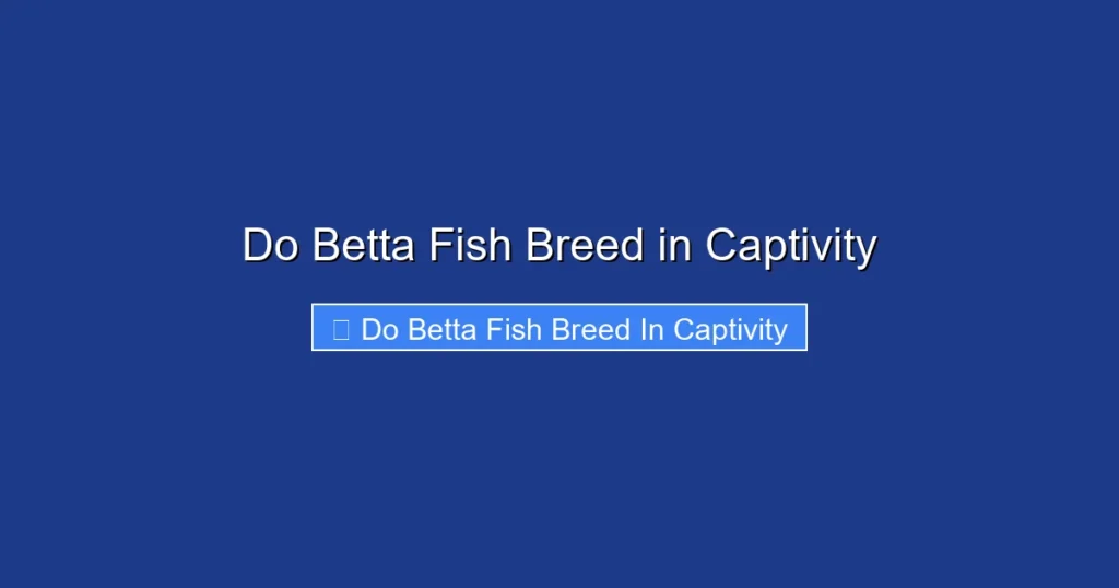 Do Betta Fish Breed in Captivity