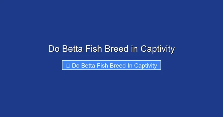 Do Betta Fish Breed in Captivity