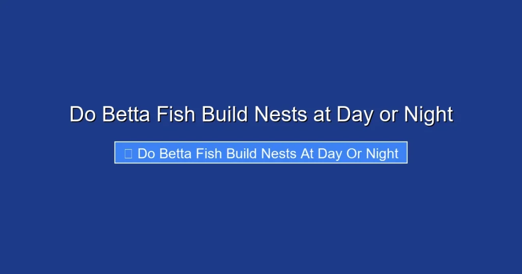 Do Betta Fish Build Nests at Day or Night
