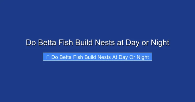 Do Betta Fish Build Nests at Day or Night